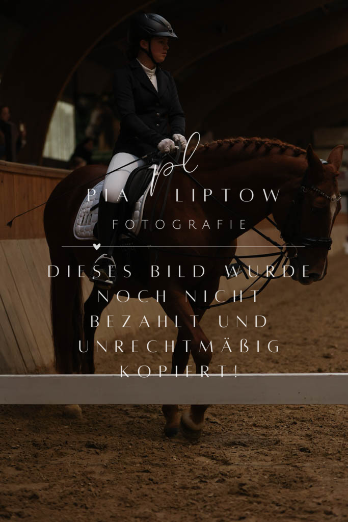 IMGM9686 | pl-fotografie