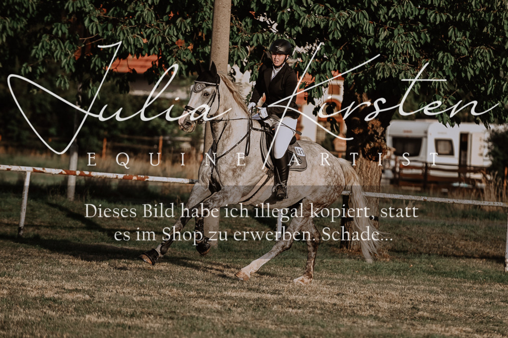 DSC_0402 | Pferde- und Turnierfotografie in Westsachsen. Pferdeportraits, Auftragszeichnungen und intuitive Kunst.
