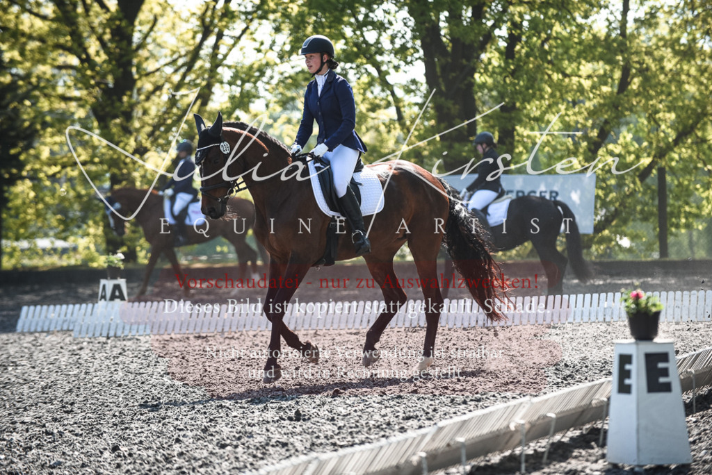 DSC_8792 | Pferde- und Turnierfotografie in Westsachsen. Pferdeportraits, Auftragszeichnungen und intuitive Kunst.