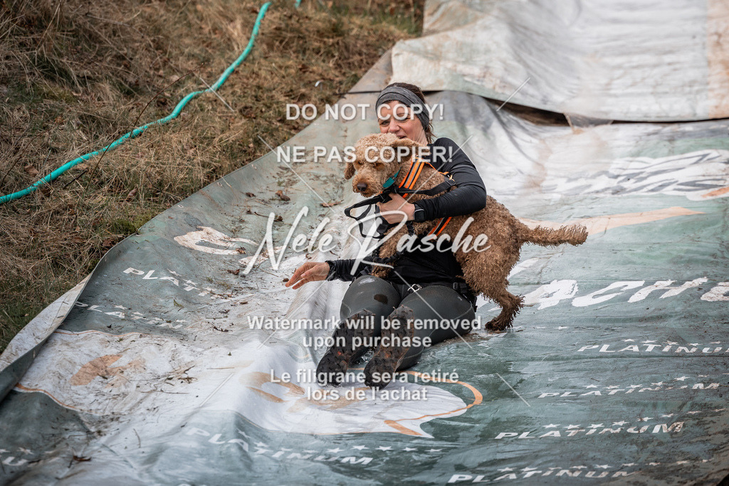 nelerasche_1330-1400_302 | nelerasche