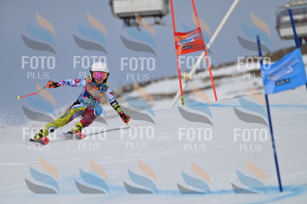 BGV_5544 | holidayphoto