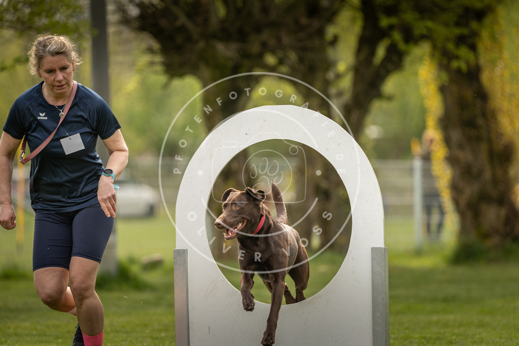 Pfotenfotografie_DV3A6714 | Hundefotografie, Tierfotograf, Pfotenfotografie, Fotoshooting Hund, Hunde Portrait, Hundesport, Hundeportraits, Heideshooting, Hunde, Sportfotograf, Hundefotograf, Turnierhundsport, THS,  - Realisiert mit Pictrs.com