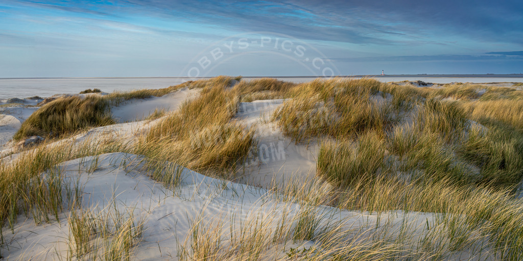 Dünenlandschaft | Dünen am Hungerhamm
