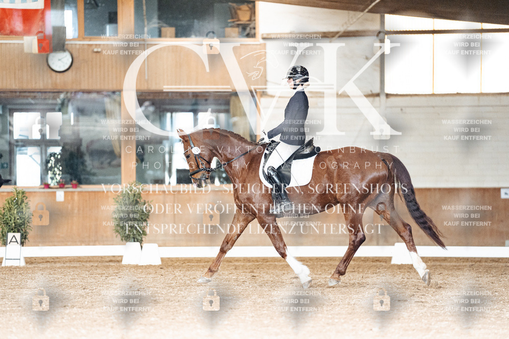 CK902395 | Turnierfotografie Pferdefotografie Trier Rheinland-Pfalz Pferdesport Reitsport Tierfotografie Sportfotografie Pferdevideo Pferdevideografie Equestrianvideography equestrianphotography  - Realisiert mit Pictrs.com
