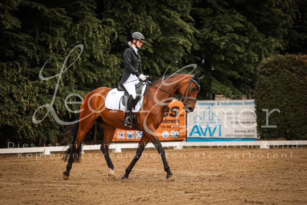 DoDrA00098 | Leoni Ertmer Photography - Realisiert mit Pictrs.com