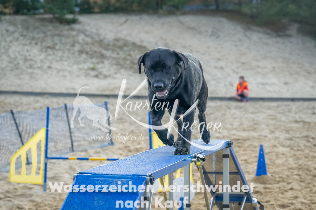 0906_ZZ91855-Bearbeitet | kk-dogfotos