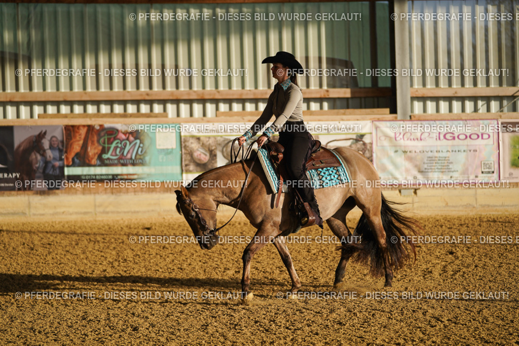 DSC07644 | Pferdegrafie