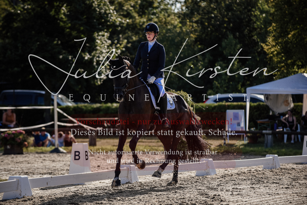 DSC_0574 | Pferde- und Turnierfotografie in Westsachsen. Pferdeportraits, Auftragszeichnungen und intuitive Kunst.