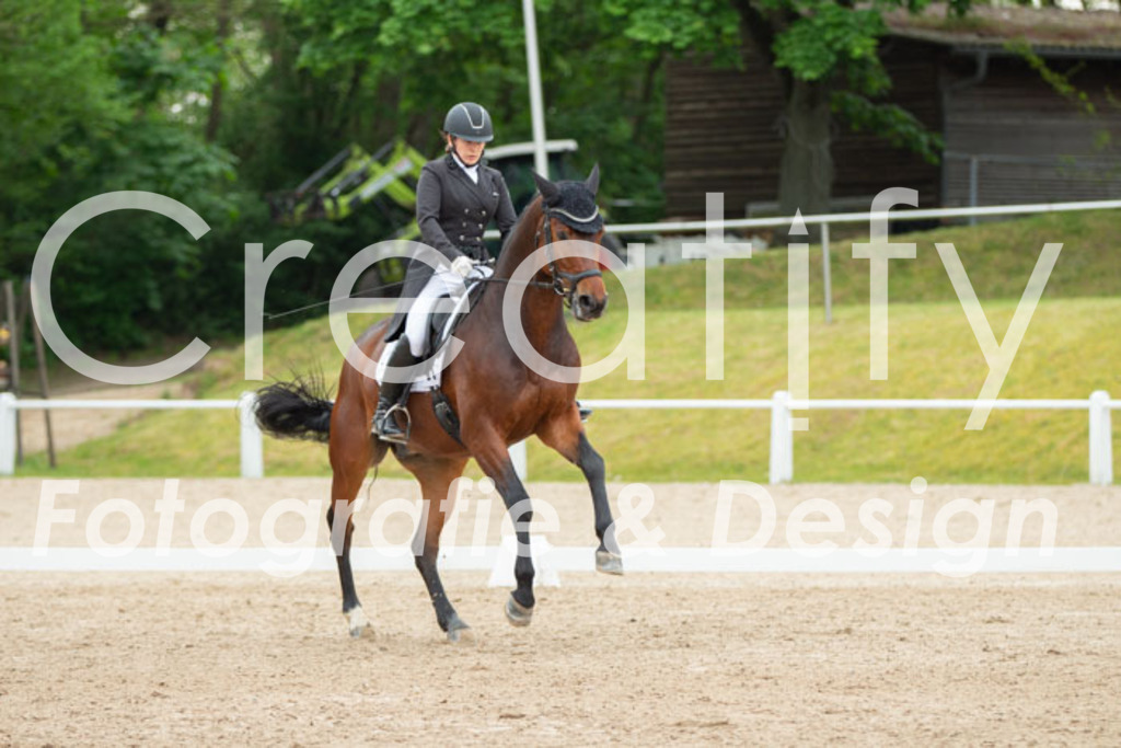 IMG_9817 | Creatify Fotografie