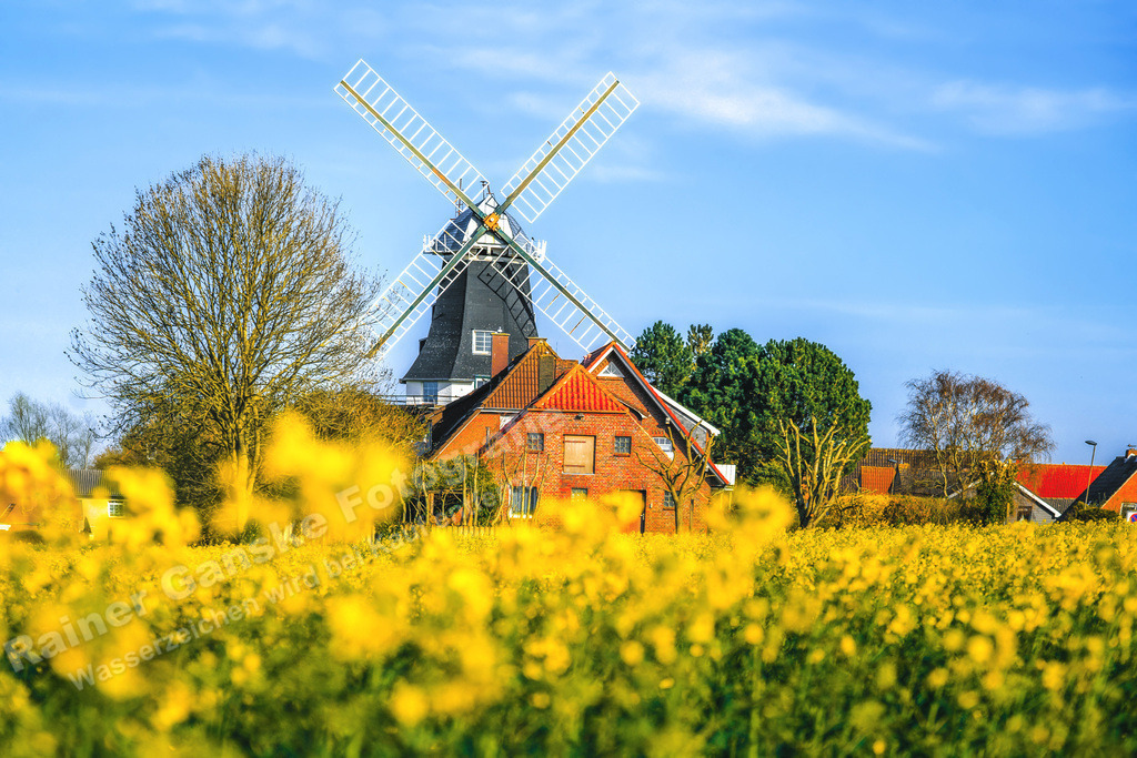043 Carolinensiel - 10-04-2020 -R Ganske | Onlineshop mit Bildern von Stränden, Häfen und Meer. Leinwände, Poster, Kalender und andere Materialien erhältlich. Kommerzielle Lizenzen möglich.  - Realisiert mit Pictrs.com