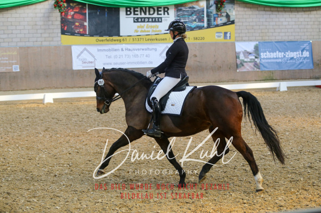 IMG_2581 | Turnierfotos kaufen im Webshop von Daniel Kuhl Photography – entdecke professionelle Reitsportfotos aus Turnieren & Events. Hochwertige Turnierbilder online bestellen & sichern. Jetzt Fotos von Reitsportturnieren kaufen!