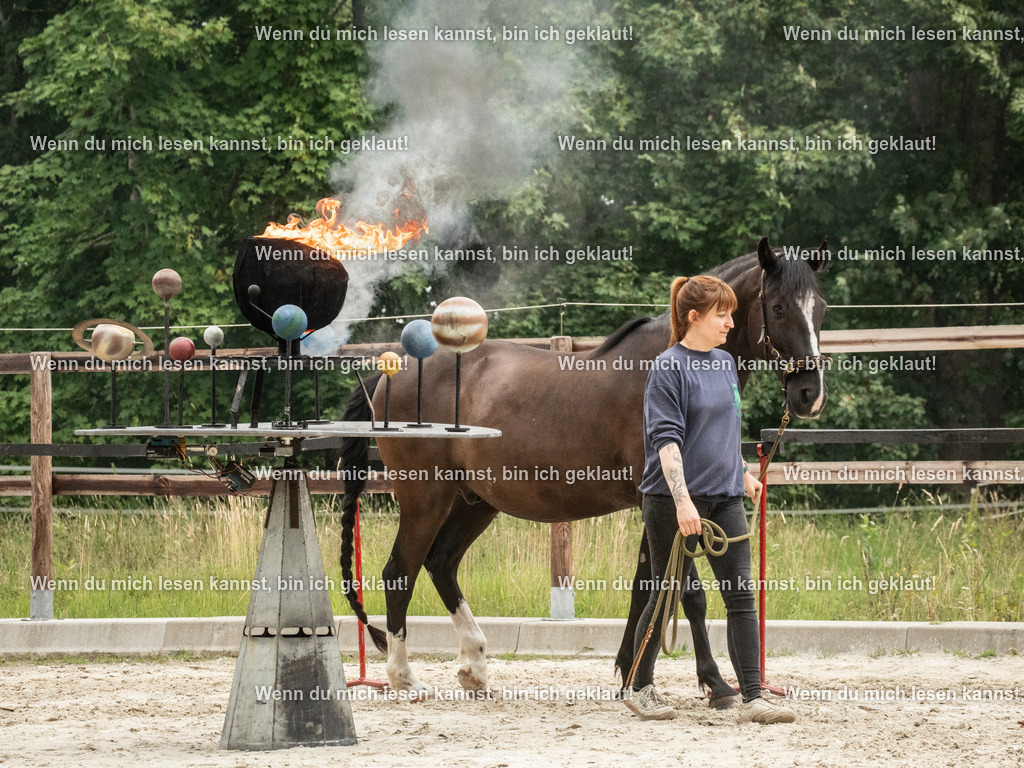 598A8159 | photographylinaismer - Realisiert mit Pictrs.com