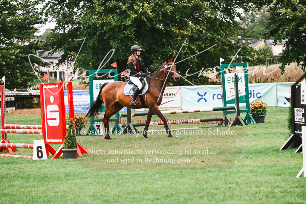 DSC_5860 | Pferde- und Turnierfotografie in Westsachsen. Pferdeportraits, Auftragszeichnungen und intuitive Kunst.