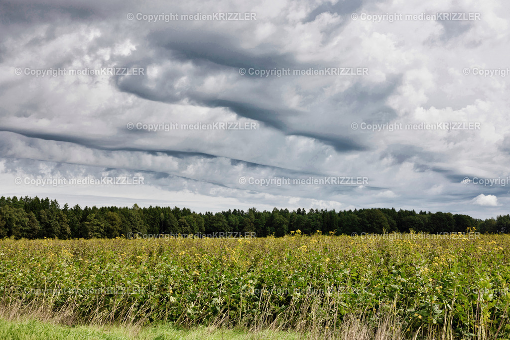 _J3A2303 | medienkrizzler - Realisiert mit Pictrs.com