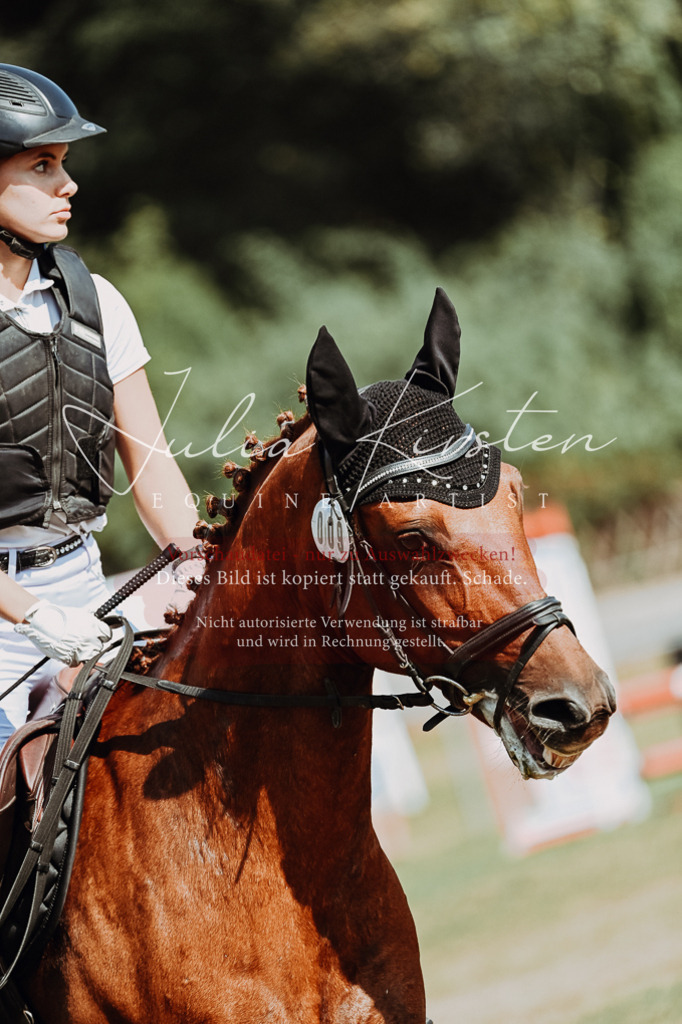 DSC_9427 | Pferde- und Turnierfotografie in Westsachsen. Pferdeportraits, Auftragszeichnungen und intuitive Kunst.