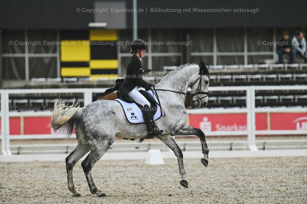 20230512_CCI4_Dressur_0306 | equistock