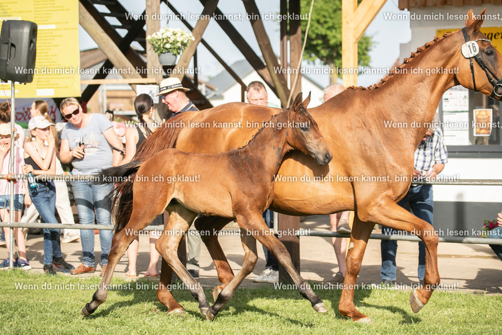 598A7267 | photographylinaismer - Realisiert mit Pictrs.com