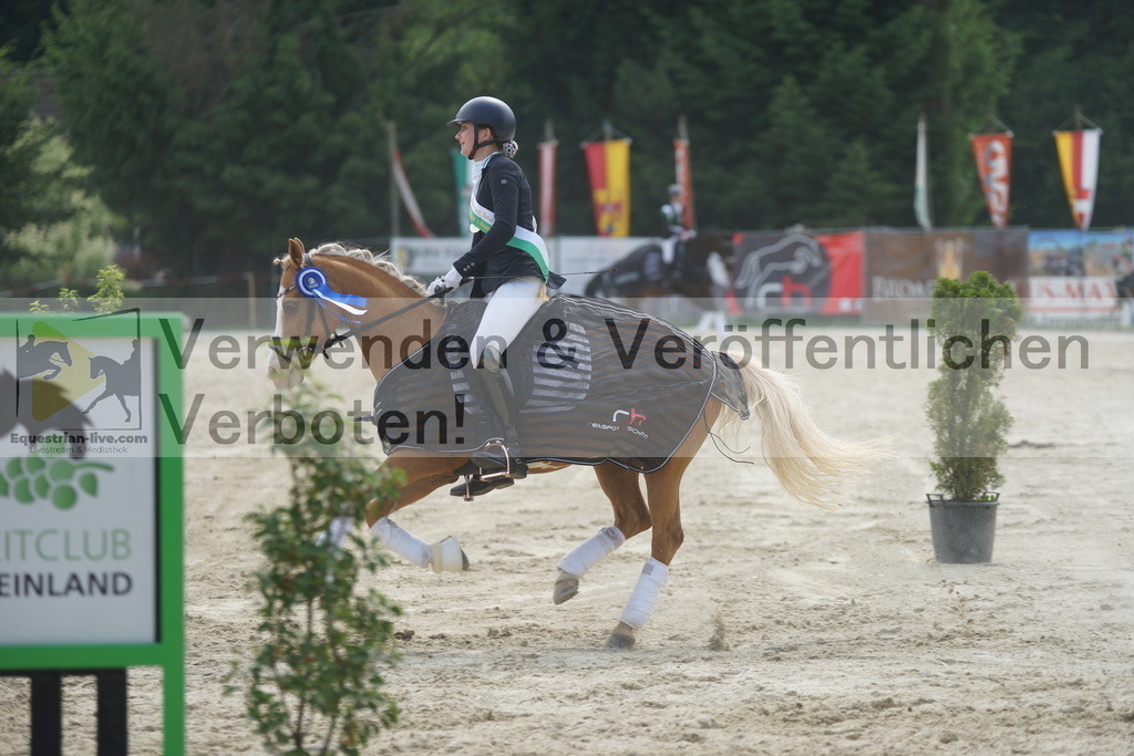 DSC05581 | equestrian-live-com