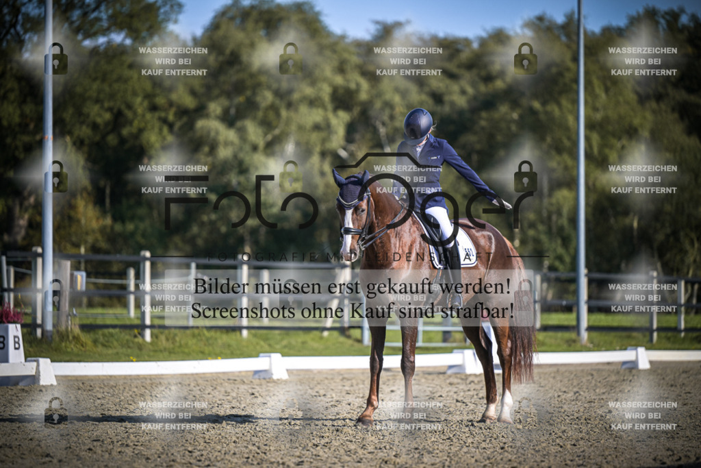 DOS_B800 | Entdecke hochwertige Reitturnierfotos von Foto Oger. Professionell, emotional und authentisch – jetzt Lieblingsmomente im Shop bestellen.Deutschlandweite Turnierfotografie. - Realisiert mit Pictrs.com