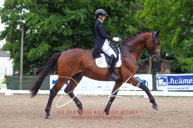 DKP41369 | Turniersportfotografie; Pferdefotografie; Dressurfotografie