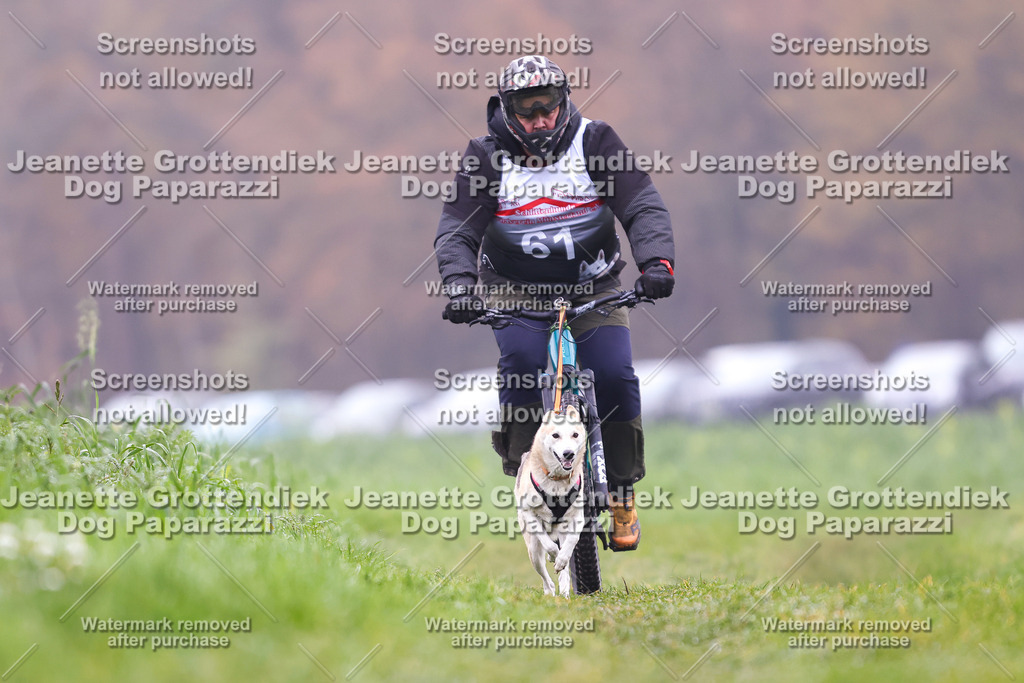 Dog Paparazzi - Visbeck 25 -242 | Dog Paparazzi Jeanette Grottendiek Fotografie & Videografie
