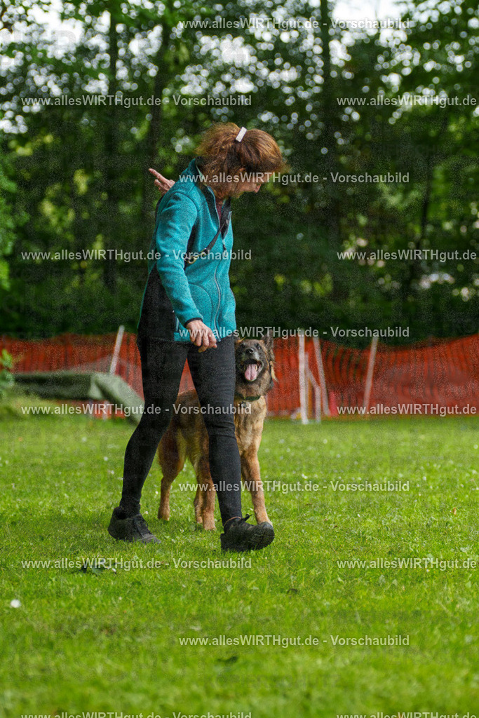 @allesWIRTHgut_Tierfotografie - www.allesWIRTHgut.de - 101907-7R508342 | Professionelle Tierfotografie in Mönchengladbach von Daniel Wirth (allesWIRTHgut). Liebevolle & natürliche Bilder von Hunden & Katzen für unvergessliche Erinnerungen.