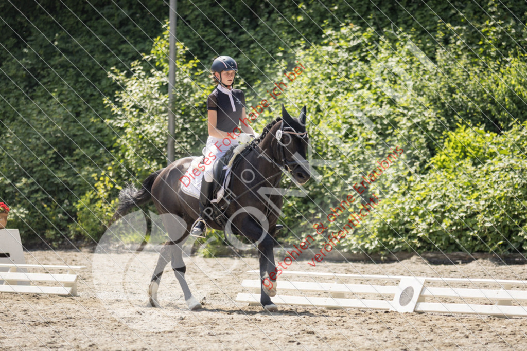 IMG_4537 | Sport-, Event- und Tierfotos in Profiqualität. Einfach auswählen, bestellen und herunterladen. Dein Moment – perfekt festgehalten.