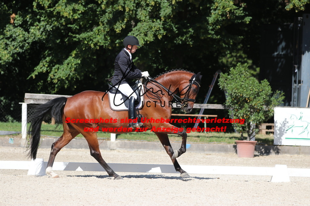 IMG_5512 | lmwpictures - Realisiert mit Pictrs.com