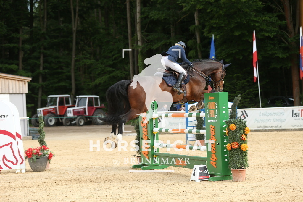 DL2Q4021 | Willkommen bei Brunnmayr - Design & Fotografie – Ihrem Spezialisten für Reitturniere und Pferdeveranstaltungen in Oberösterreich, Salzburg und Bayern! Seit über 17 Jahren sind wir leidenschaftlich dabei.