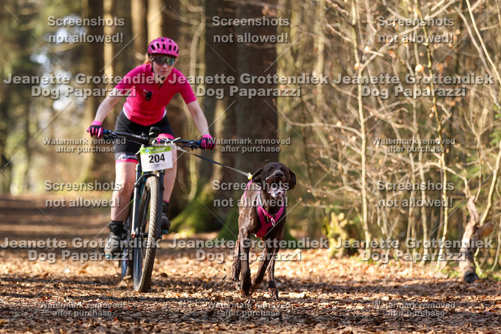 Dog Paparazzi - VCC26-1013 | Dog Paparazzi Jeanette Grottendiek Fotografie & Videografie - Realisiert mit Pictrs.com