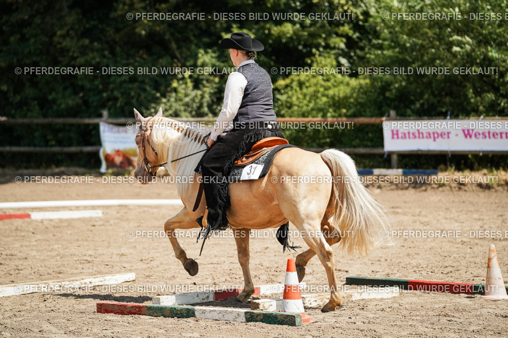 DSC06892 | Pferdegrafie