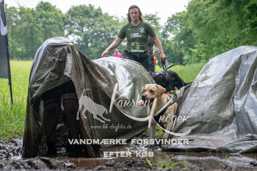 1142_ZZ94001 | kk-dogfotos