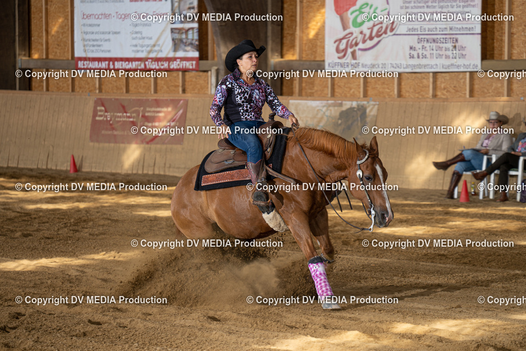 DSC00519 | dv-media-shop - Realisiert mit Pictrs.com