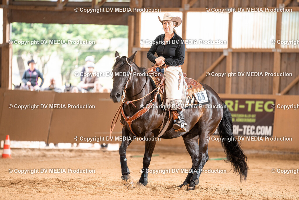 Losheim Tag 1-302 | dv-media-shop - Realisiert mit Pictrs.com