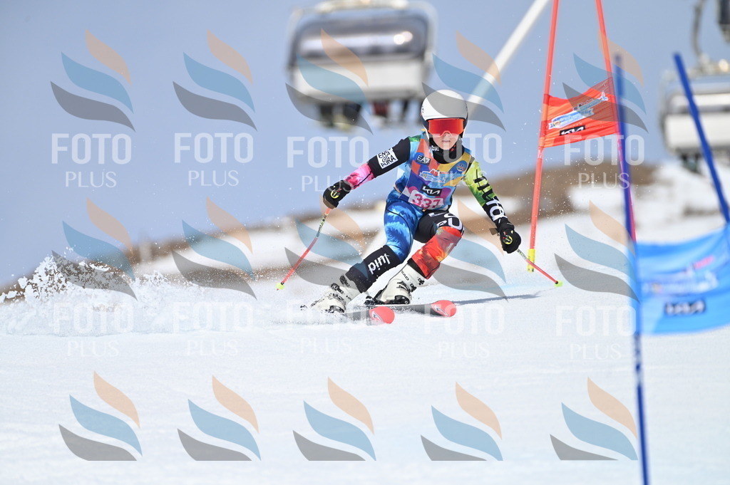 BGV_3395 | holidayphoto