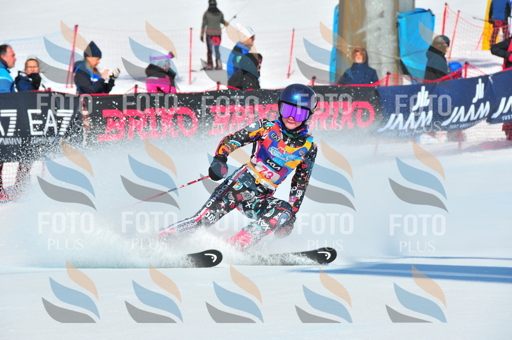 DSC_4323 | holidayphoto