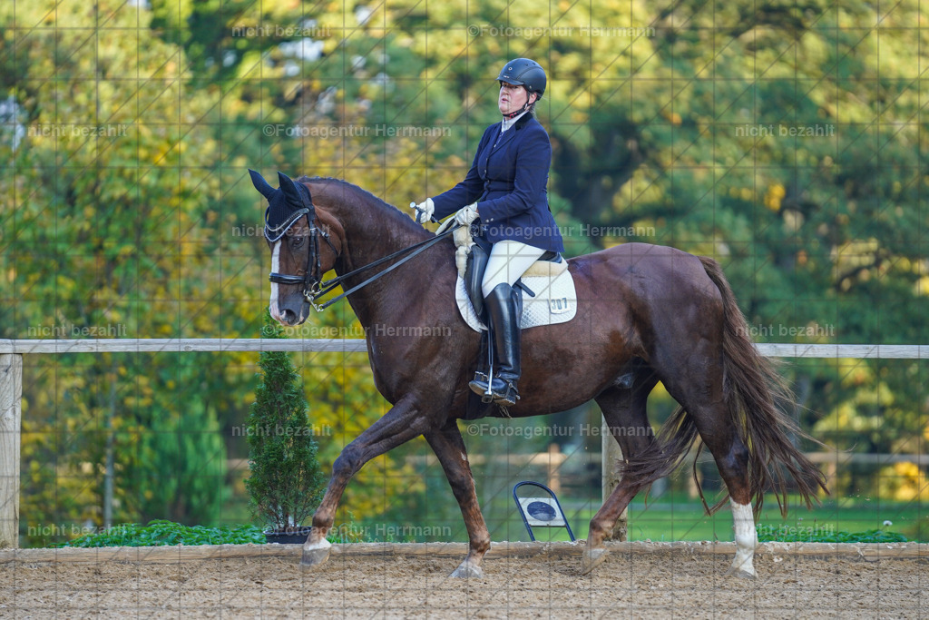 20221007-FAH00366 | Diessen am Ammersee, 2022, Dressur- und Springturnier, Reitsportbilder, Turnierfotografen Bayern, Pferdefotografen, Fotoagentur Herrmann, Turnierbilder