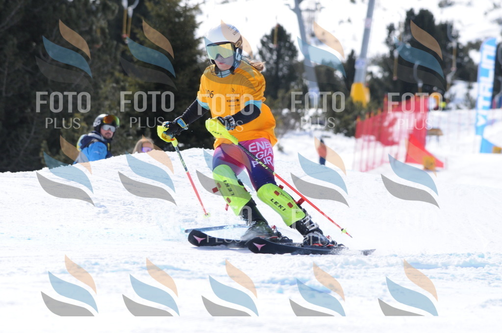 C9156 | holidayphoto