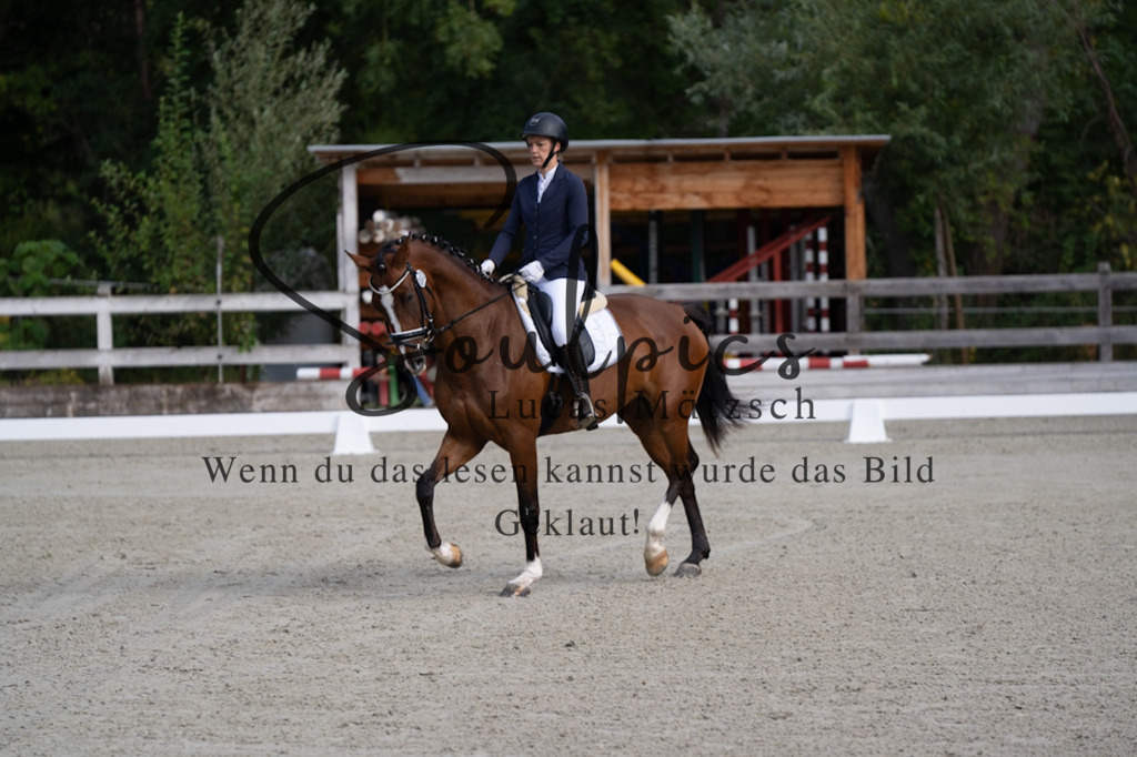 A7V06785 | Turnier/Reitfotograf