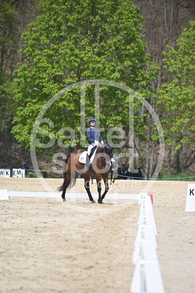 DSC_2159 | sattelsport - Realisiert mit Pictrs.com