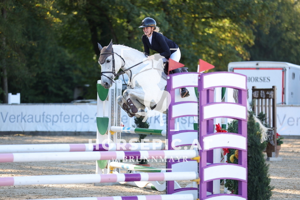 0P6A0903 | Willkommen bei Brunnmayr - Design & Fotografie – Ihrem Spezialisten für Reitturniere und Pferdeveranstaltungen in Oberösterreich, Salzburg und Bayern! Seit über 17 Jahren sind wir leidenschaftlich dabei.