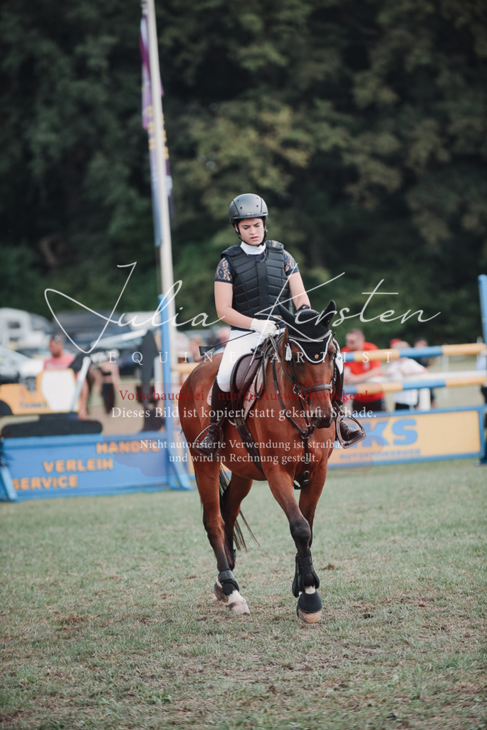DSC_5653 | Pferde- und Turnierfotografie in Westsachsen. Pferdeportraits, Auftragszeichnungen und intuitive Kunst.
