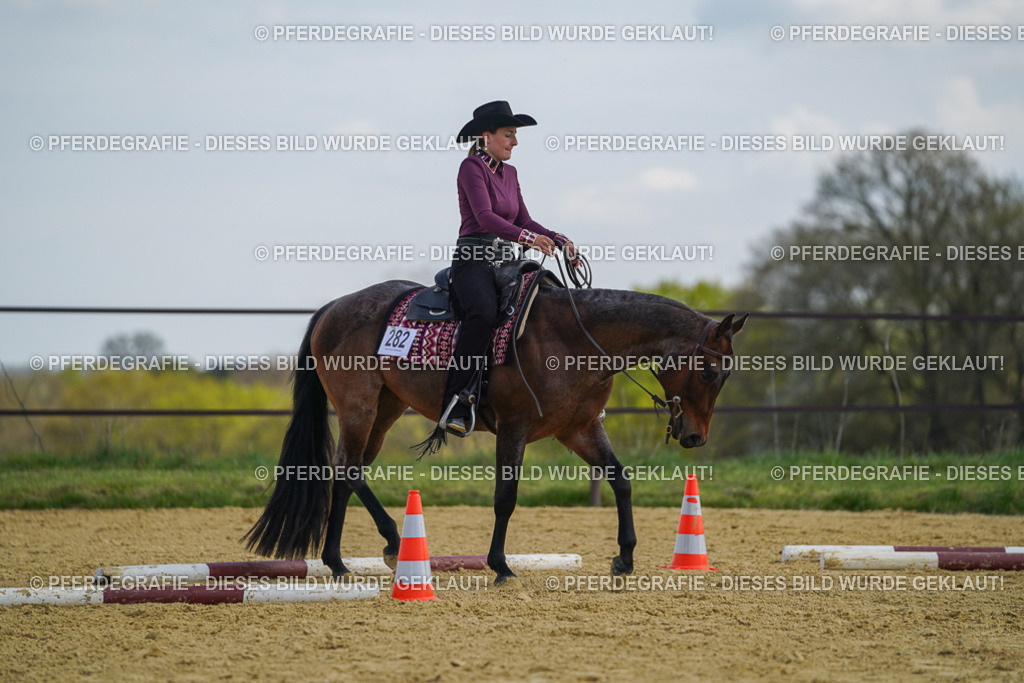 DSC05023 | Pferdegrafie