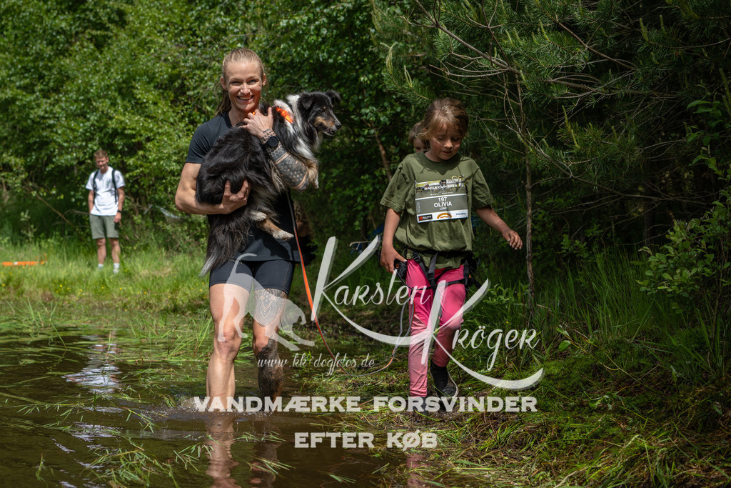 1221DKK992610 | kk-dogfotos