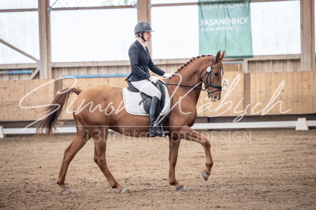 20251011-_3LI1343 | Tierfotografie Pferde, Hunde, Katzen, Haustiere.
Turnierfotografie Reitturniere, Reiten, Springreiten, Dressur in Hanau, dem Main-Kinzig-Kreis und dem Rhein-Main- Gebiet um Frankfurt