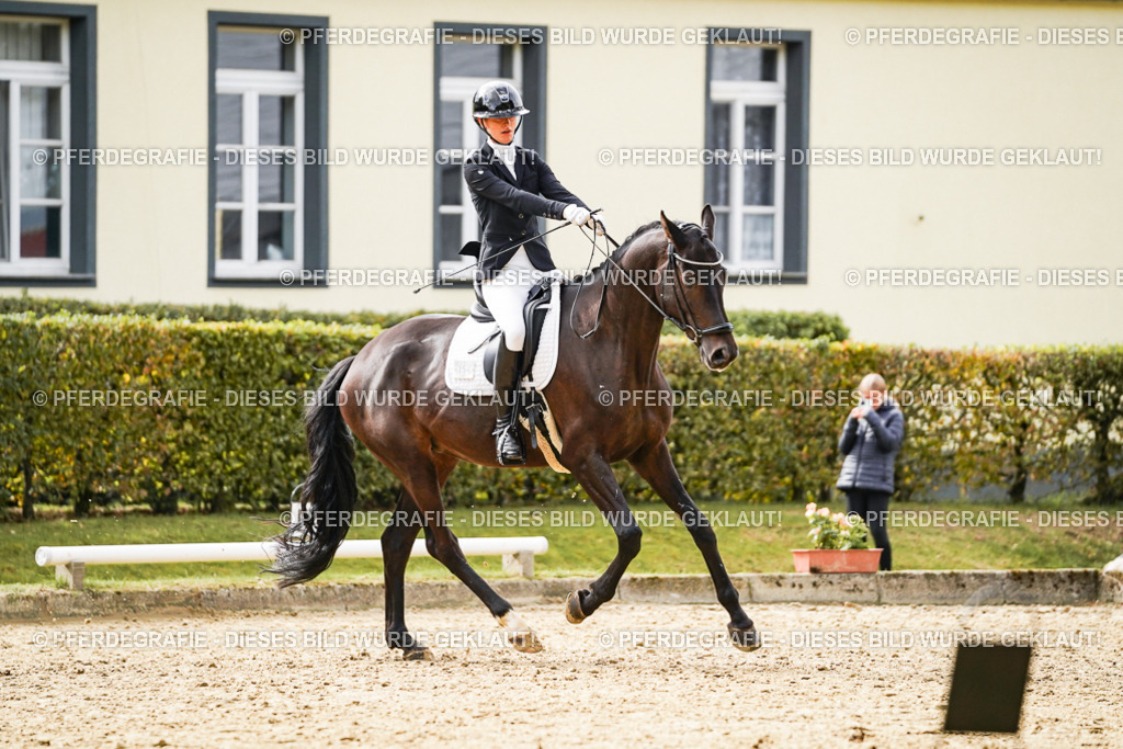 DSC00840 | Pferdegrafie