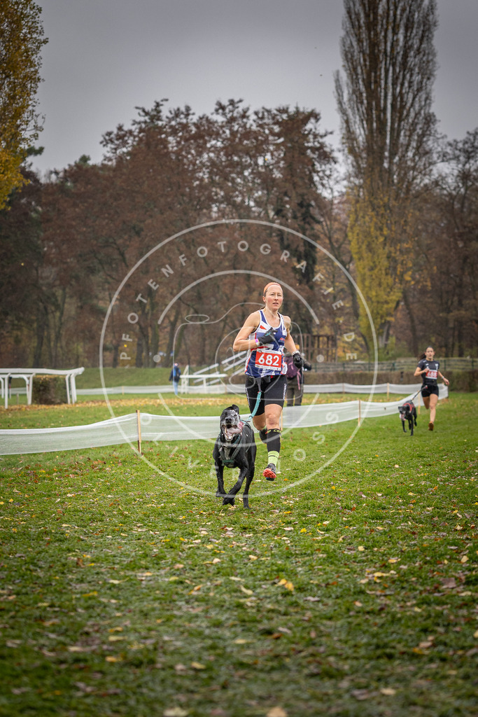 CaniXpix_DV3A9062 | Hundefotografie, Tierfotograf, Pfotenfotografie, Fotoshooting Hund, Hunde Portrait, Hundesport, Hundeportraits, Heideshooting, Hunde, Sportfotograf, Hundefotograf, Turnierhundsport, THS,  - Realisiert mit Pictrs.com