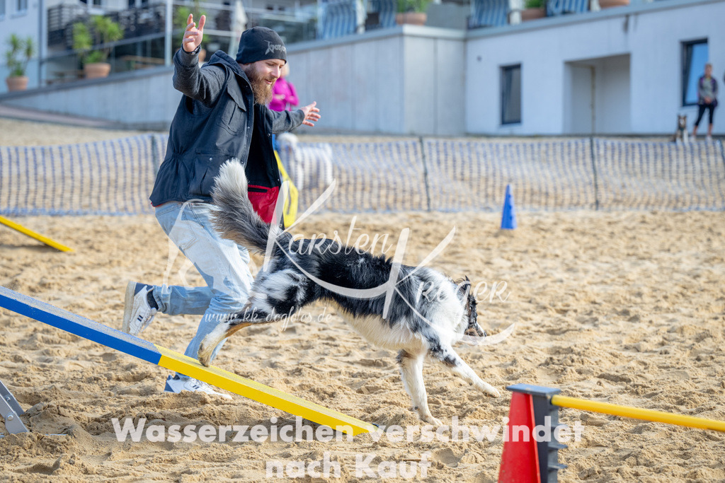 0958_ZZ93276 | kk-dogfotos