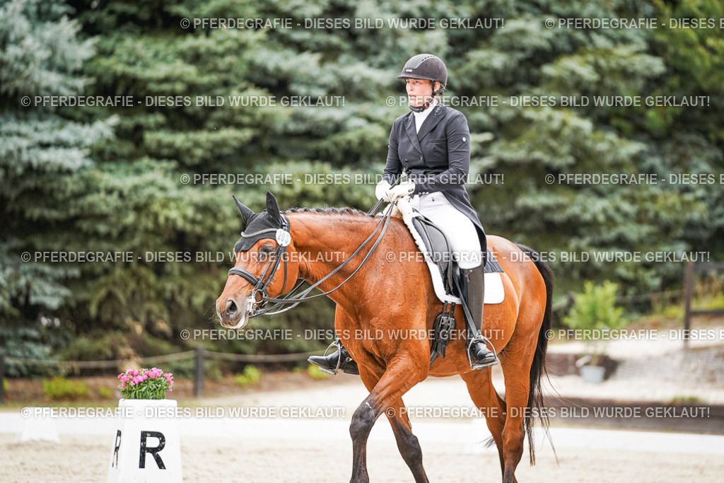 DSC07594 | Pferdegrafie