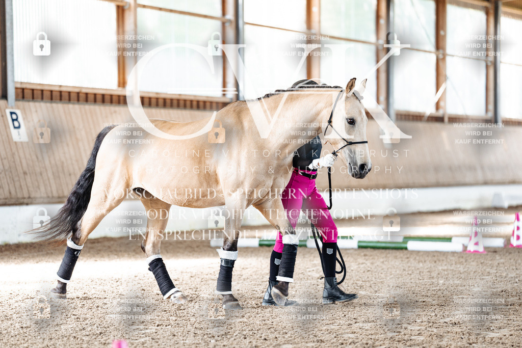 CK905358 | Turnierfotografie Pferdefotografie Trier Rheinland-Pfalz Pferdesport Reitsport Tierfotografie Sportfotografie Pferdevideo Pferdevideografie Equestrianvideography equestrianphotography  - Realisiert mit Pictrs.com